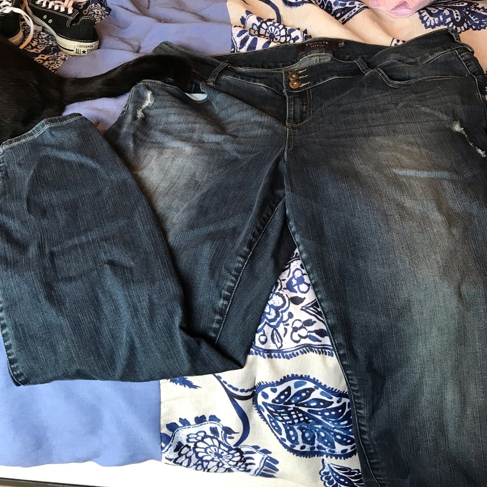 Torrid jeans